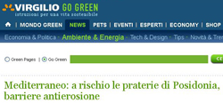 Virgilio-Go-Green_2012-05-21-web.jpg