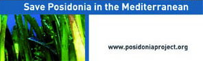 banner-posidonia-project.jpg